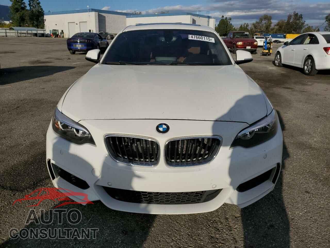 BMW 2 SERIES 2015 - WBA1F9C54FVW98698