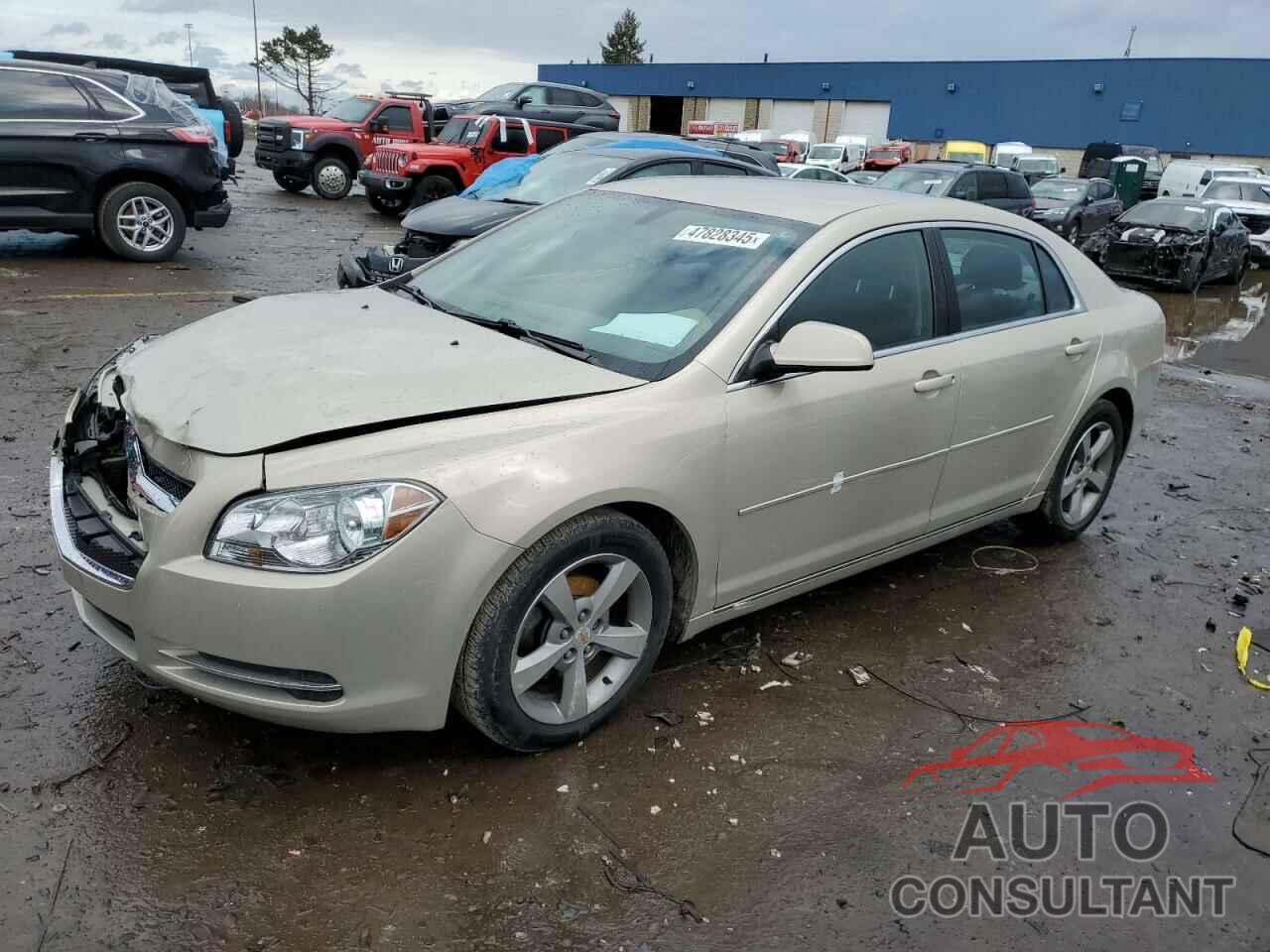CHEVROLET MALIBU 2011 - 1G1ZC5E11BF309479