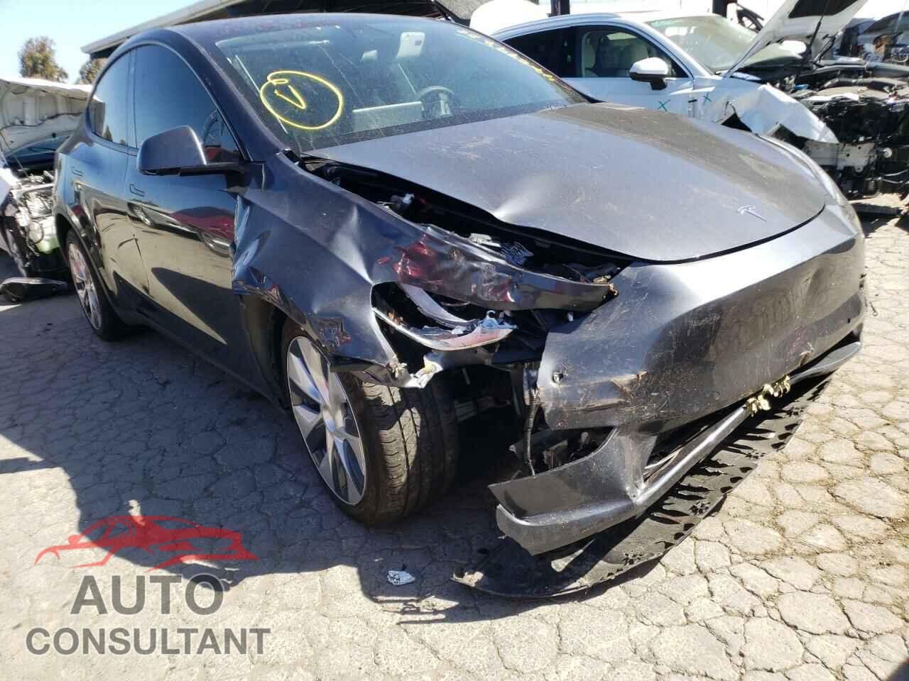 TESLA MODEL Y 2021 - 5YJYGDEE5MF086116