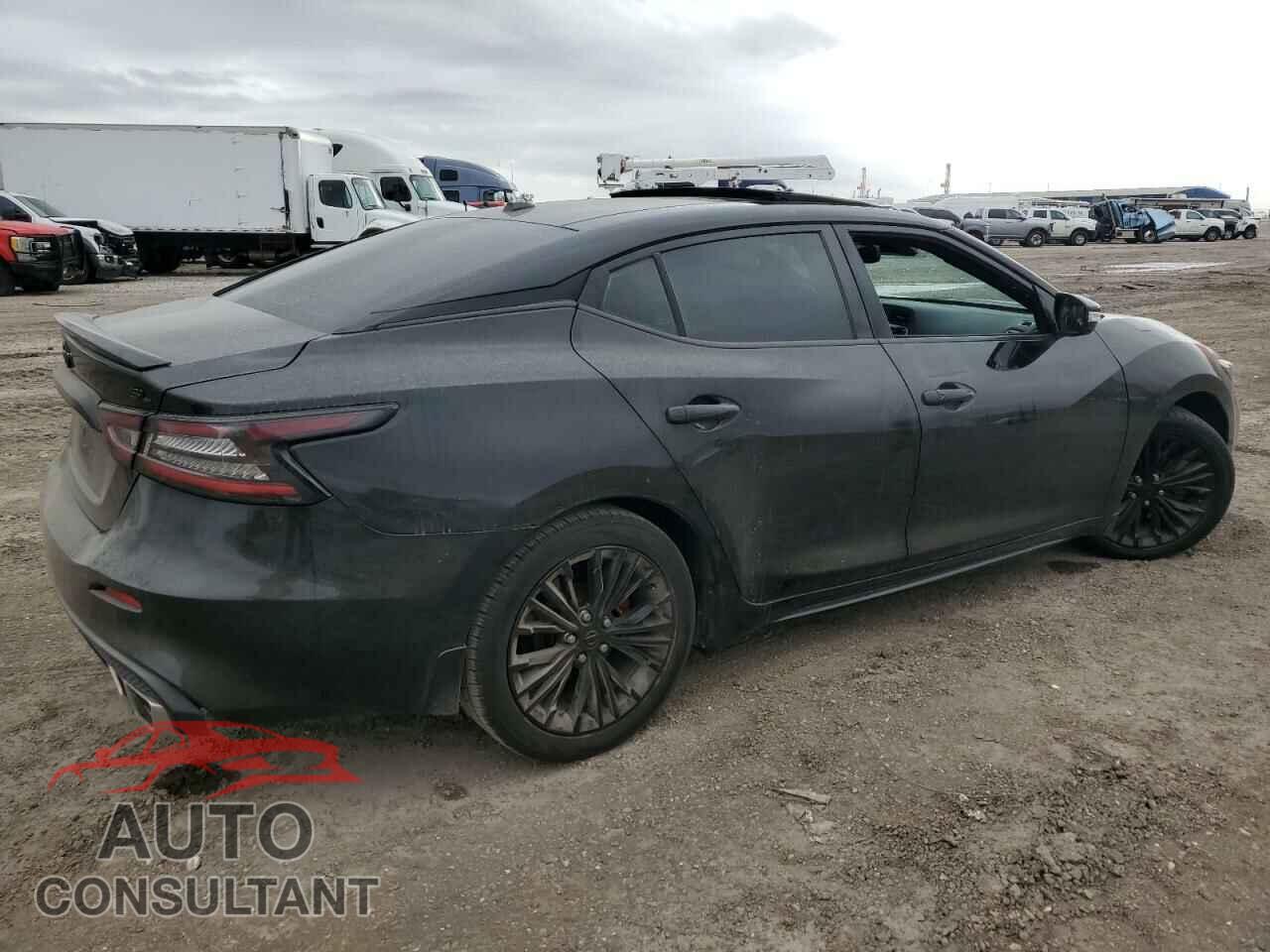 NISSAN MAXIMA 2020 - 1N4AA6DV5LC373103