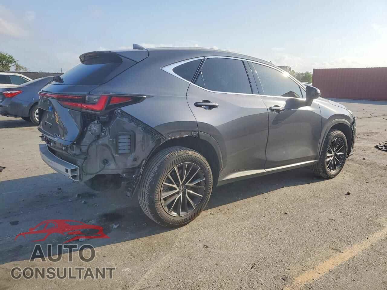 LEXUS NX 2024 - 2T2AGCEZ7RC034914
