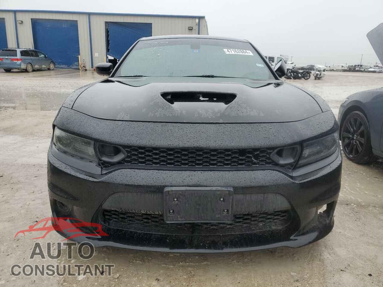 DODGE CHARGER 2019 - 2C3CDXGJ2KH704826