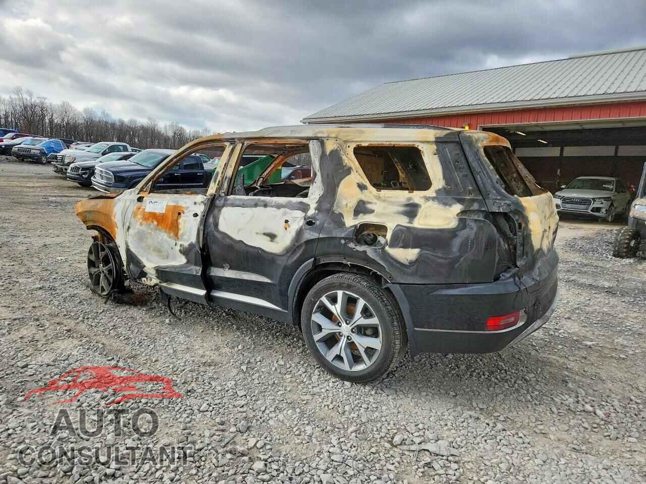 HYUNDAI PALISADE 2020 - KM8R4DHEXLU106015