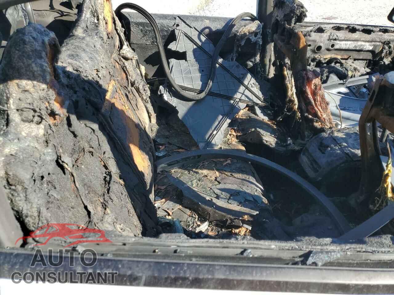 TESLA MODEL Y 2024 - 7SAYGDEF5RF183755