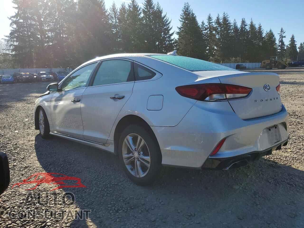 HYUNDAI SONATA 2019 - 5NPE34AF4KH734007