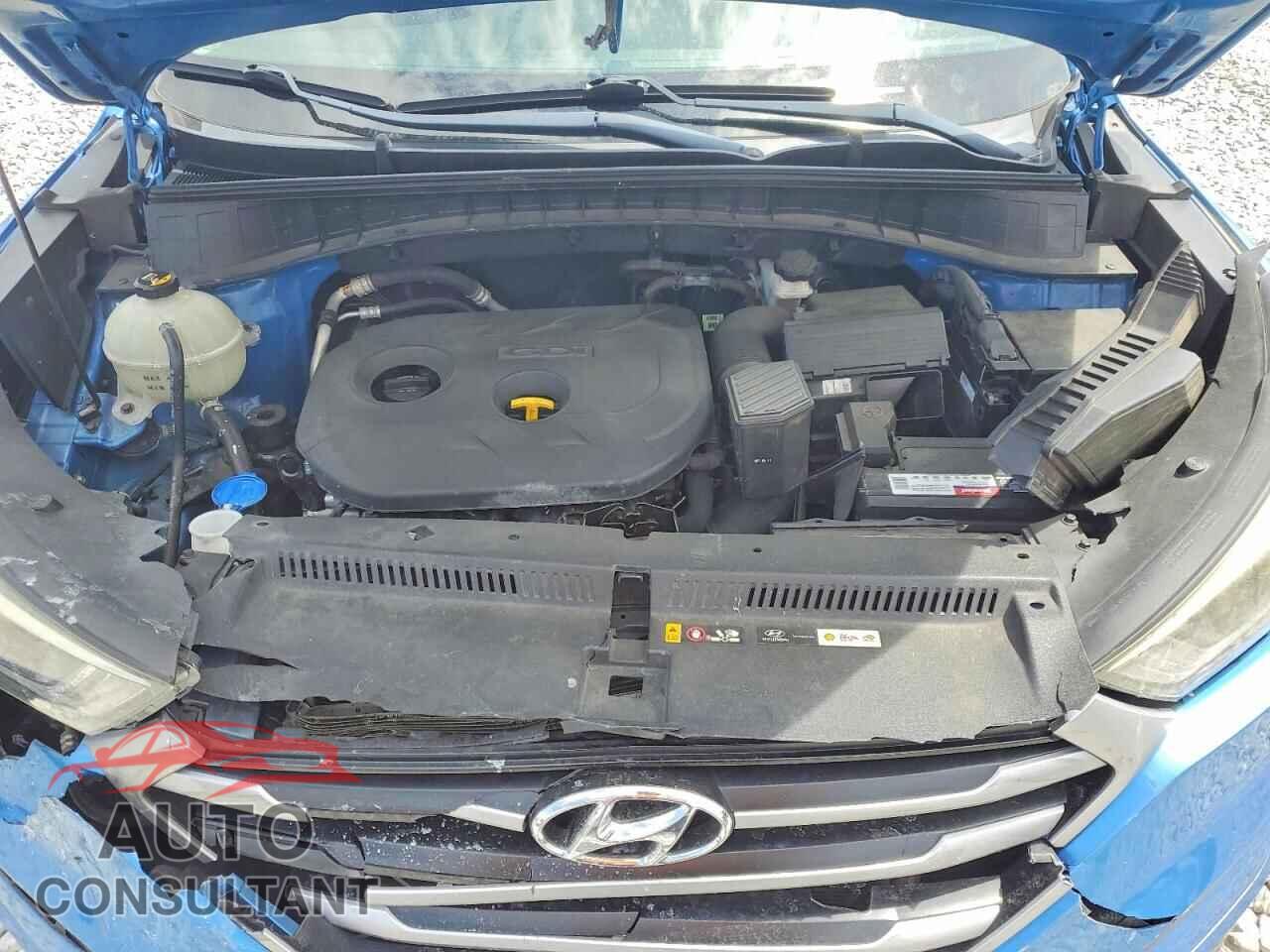 HYUNDAI TUCSON 2017 - KM8J33A48HU525662