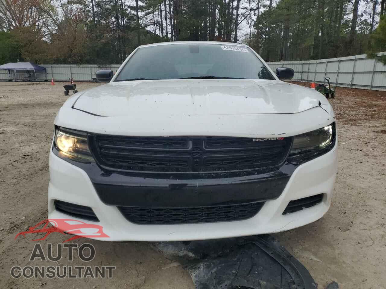 DODGE CHARGER 2019 - 2C3CDXBG6KH621797