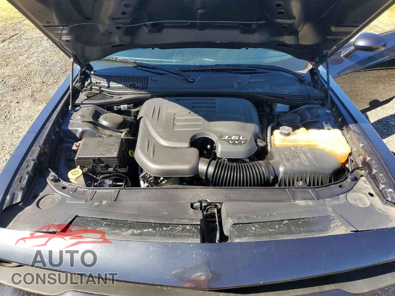 DODGE CHALLENGER 2019 - 2C3CDZAG3KH669772