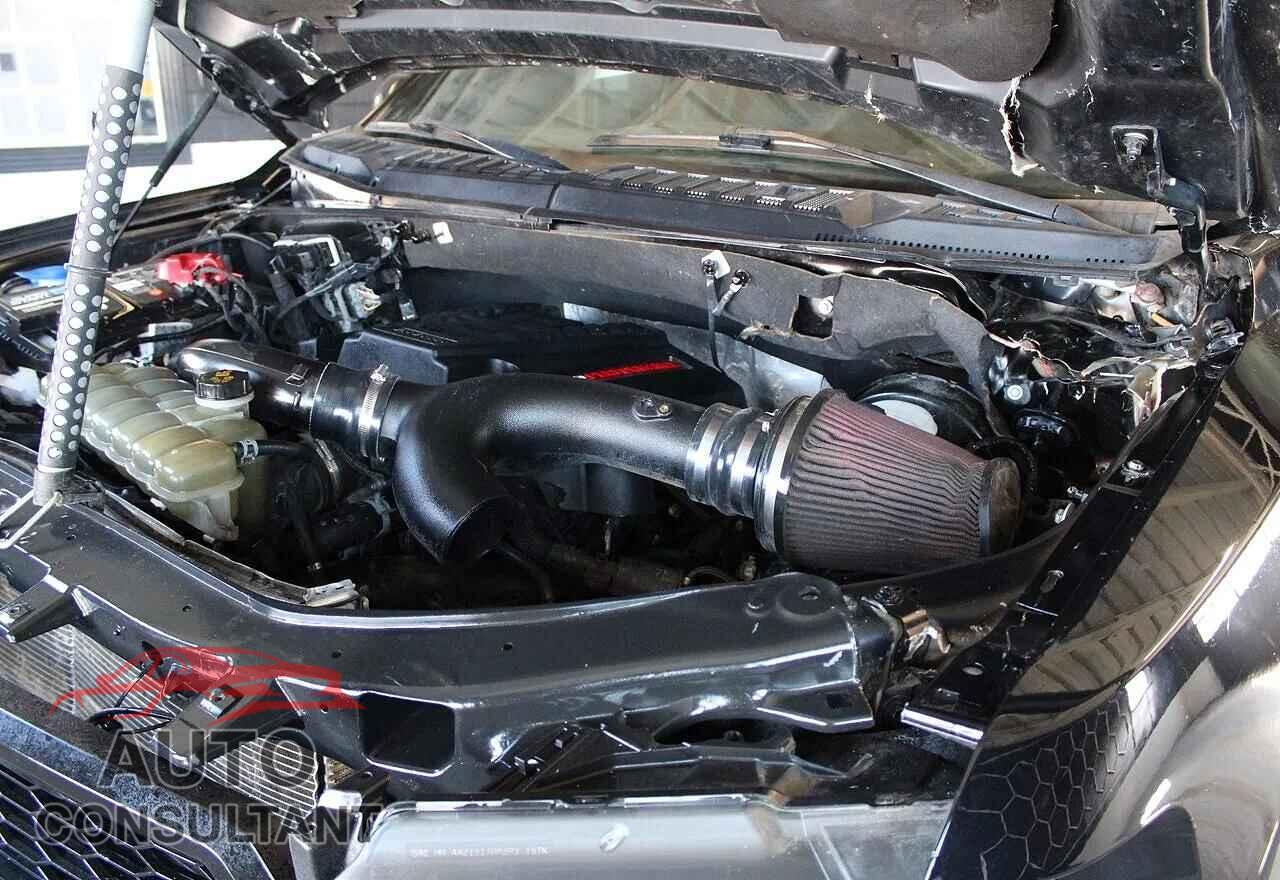 FORD F150 2019 - 1FTFW1RG8KFC62833