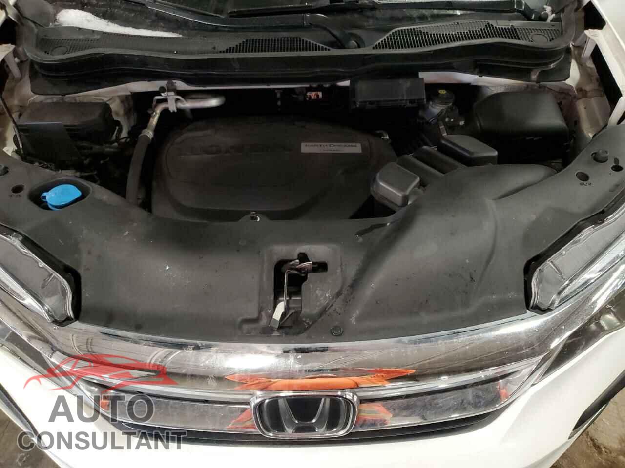 HONDA PILOT 2019 - 5FNYF6H5XKB025268