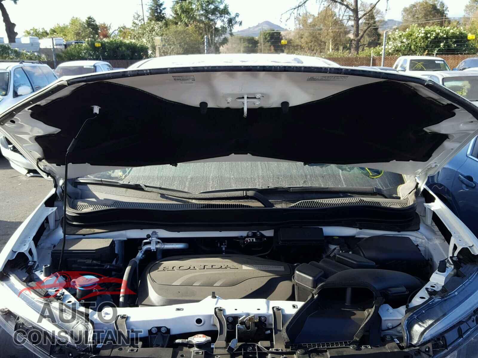 HONDA PILOT EXL 2018 - 5FNYF5H55JB008452