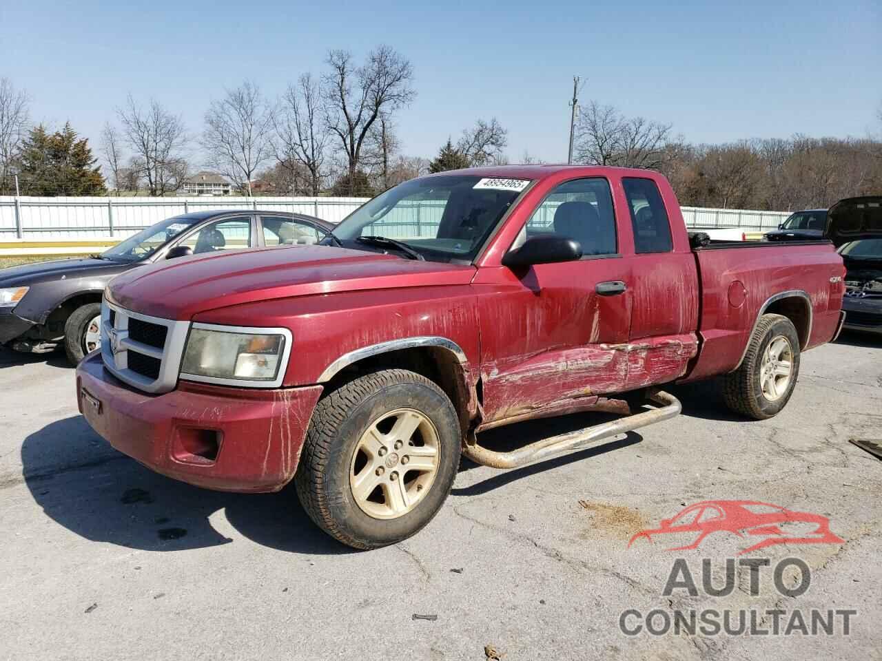 DODGE DAKOTA 2011 - 1D7RW3BK6BS649854