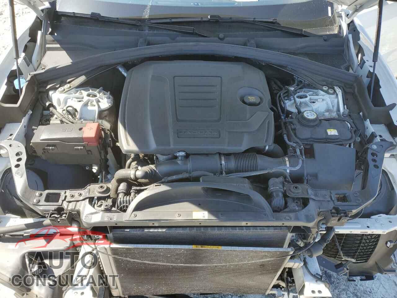 JAGUAR F-PACE 2020 - SADCJ2FX3LA647800