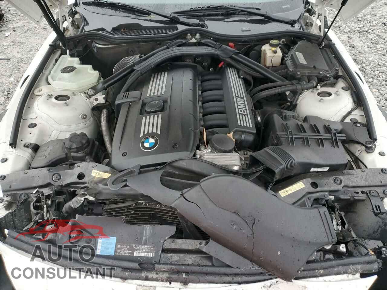 BMW Z4 2009 - WBALM53519E376595
