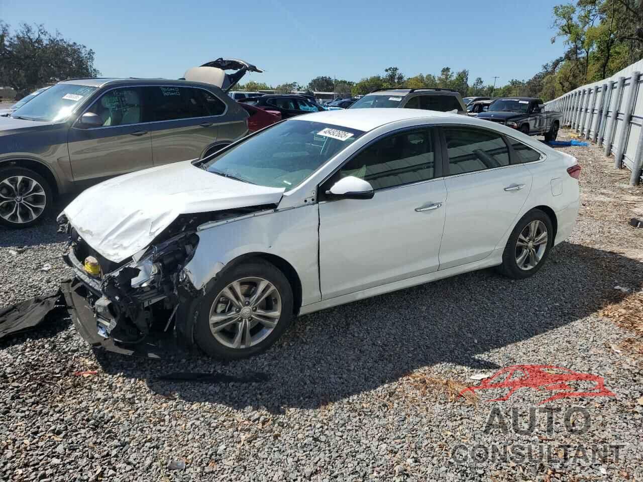 HYUNDAI SONATA 2019 - 5NPE34AF4KH766987