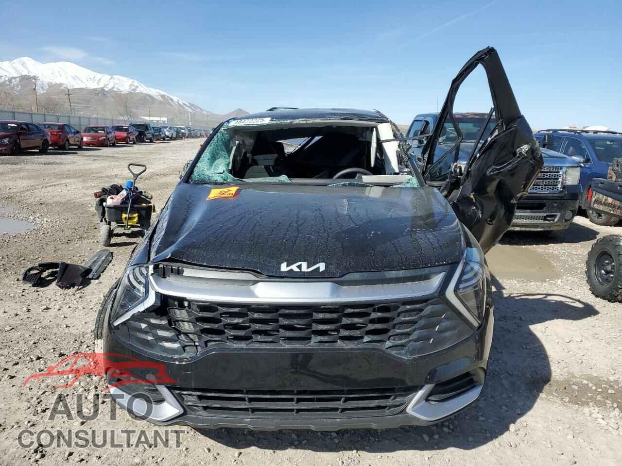 KIA SPORTAGE 2024 - KNDPU3DF7R7254408