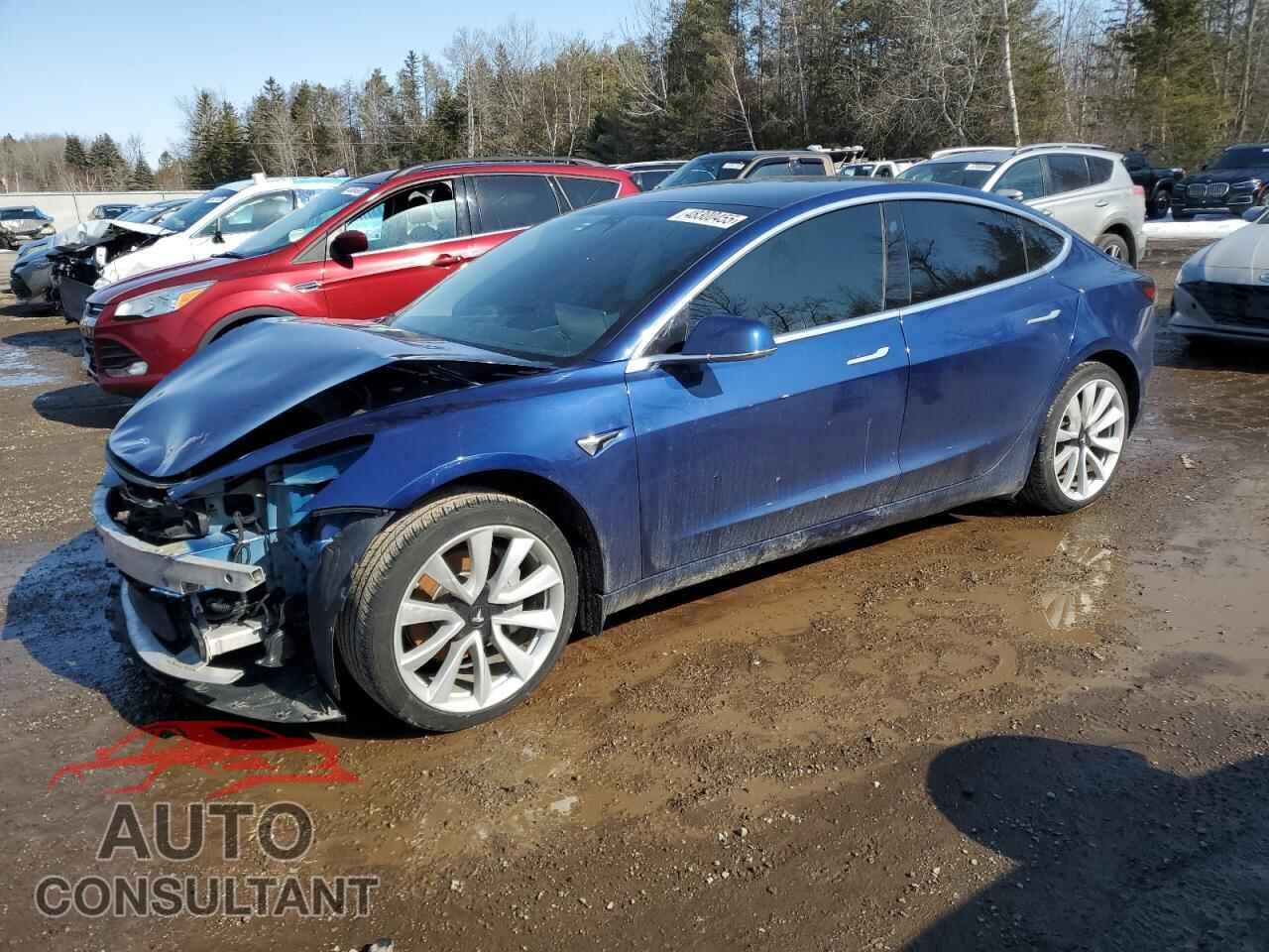 TESLA MODEL 3 2020 - 5YJ3E1EA4LF784095