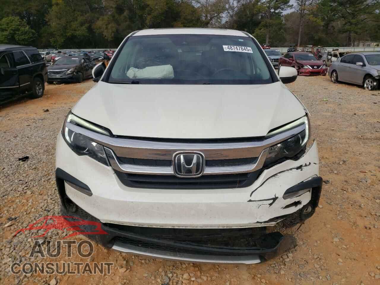 HONDA PILOT 2019 - 5FNYF6H51KB046154