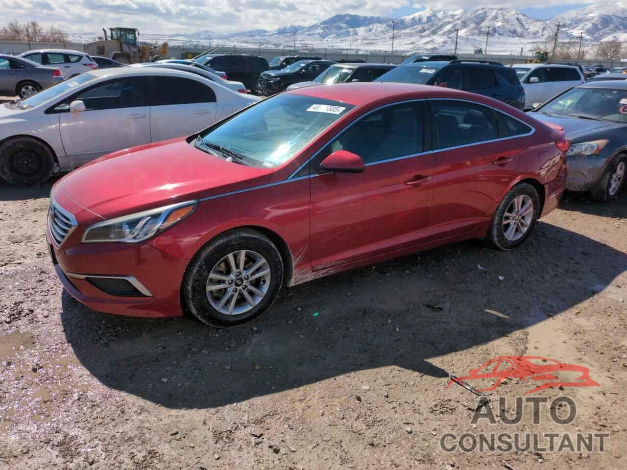 HYUNDAI SONATA 2017 - 5NPE24AF3HH442232