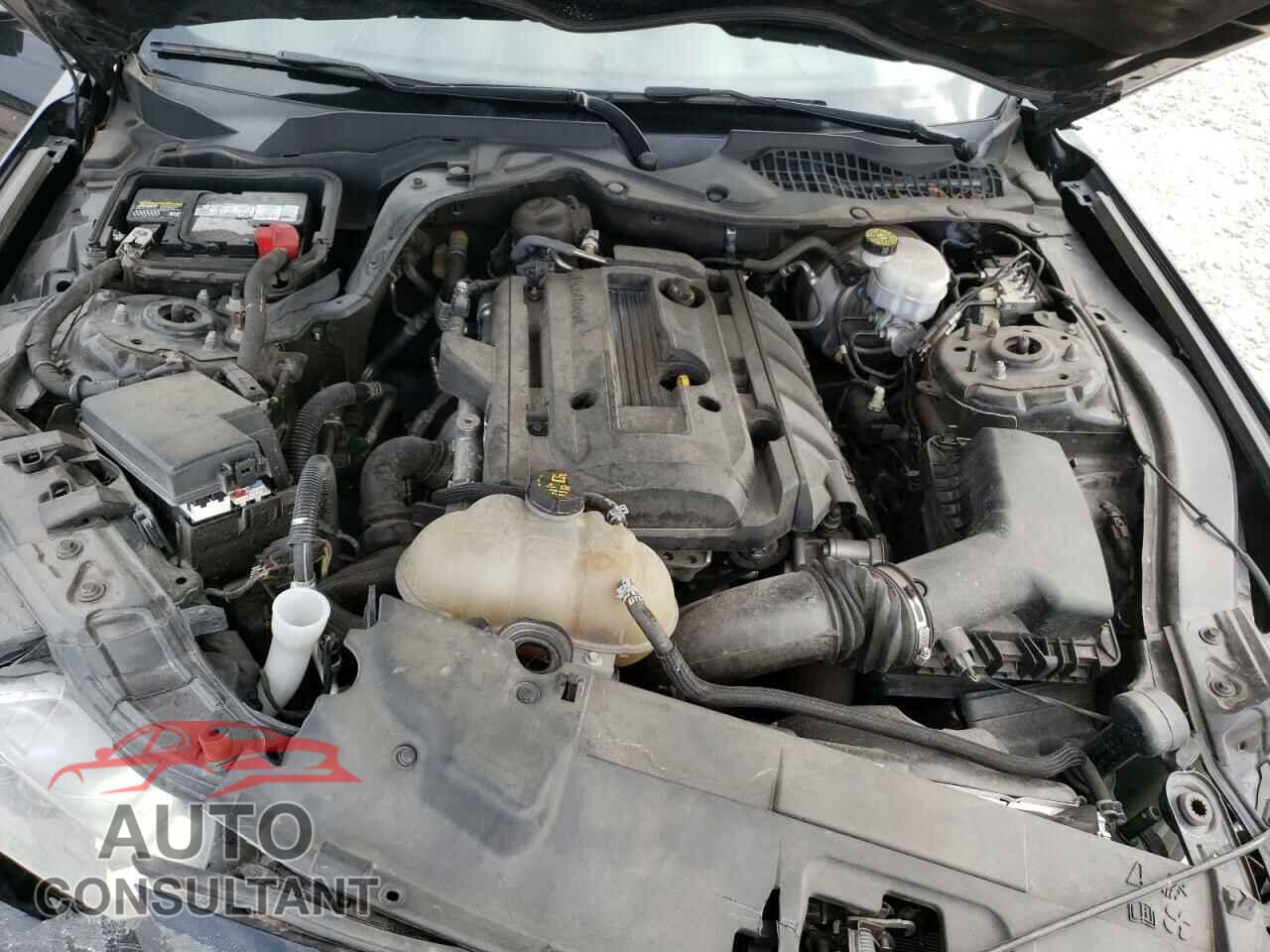 FORD MUSTANG 2018 - 1FA6P8TH4J5168126