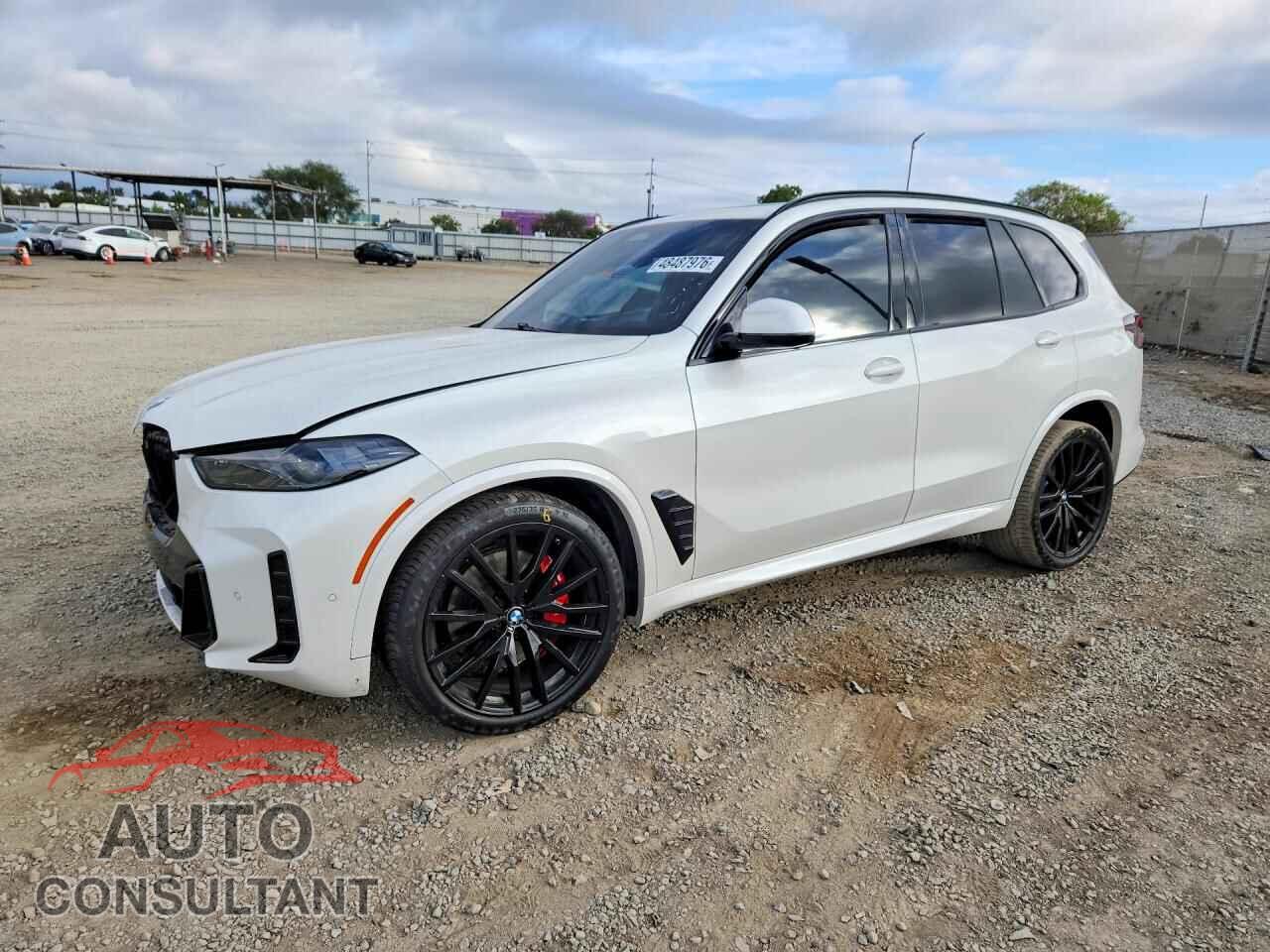 BMW X5 2024 - 5UX13EU07R9S91266
