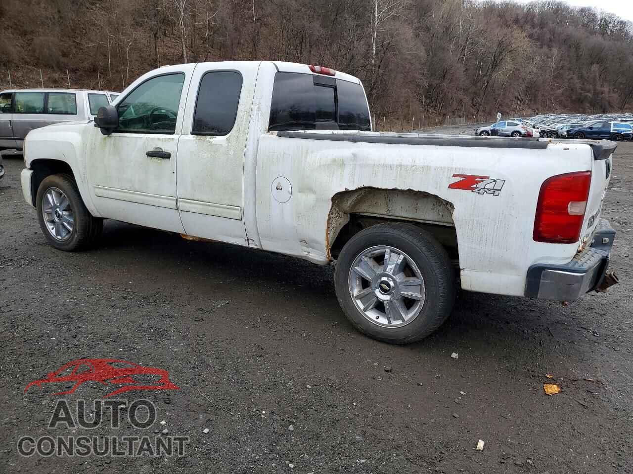 CHEVROLET SILVERADO 2009 - 2GCEK290591119484