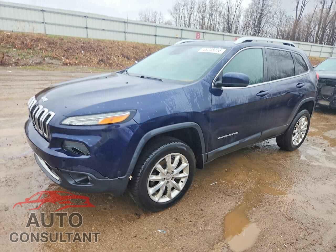 JEEP CHEROKEE 2014 - 1C4PJMDS2EW190984