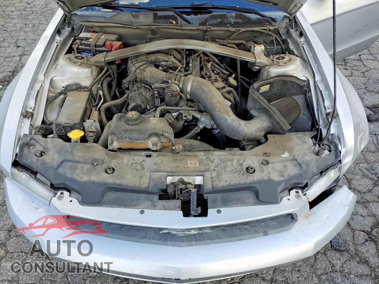 FORD MUSTANG 2011 - 1ZVBP8EM2B5126362