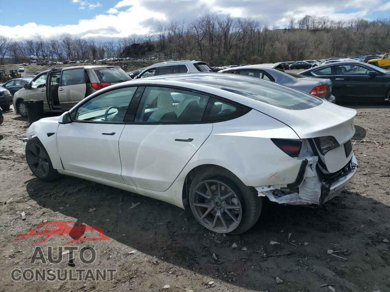 TESLA MODEL 3 2021 - 5YJ3E1EB8MF034225