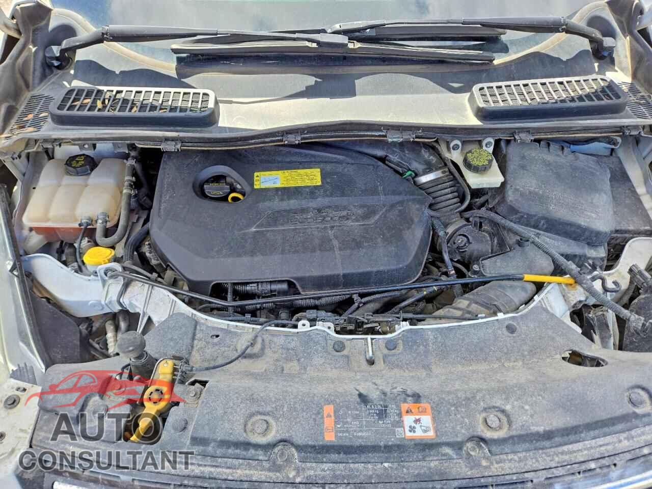FORD ESCAPE 2014 - 1FMCU9GX8EUC62529