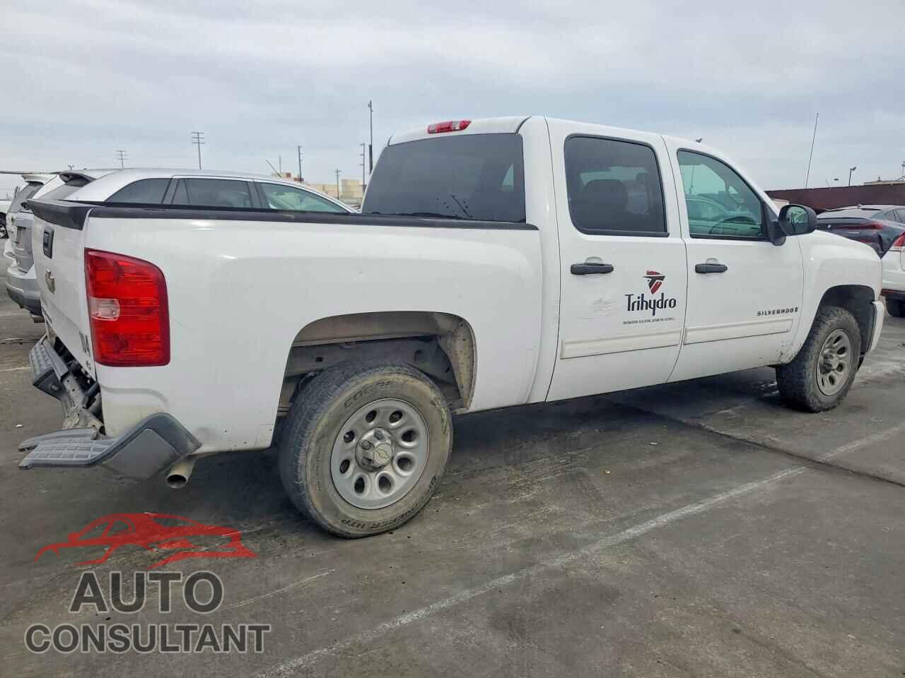 CHEVROLET SILVERADO 2009 - 3GCEC13C49G191424