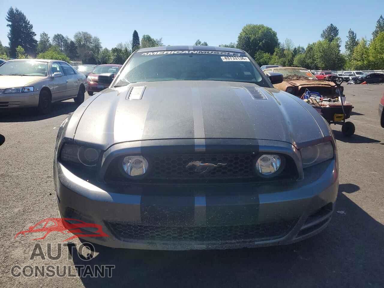 FORD MUSTANG 2014 - 1ZVBP8CF7E5262124