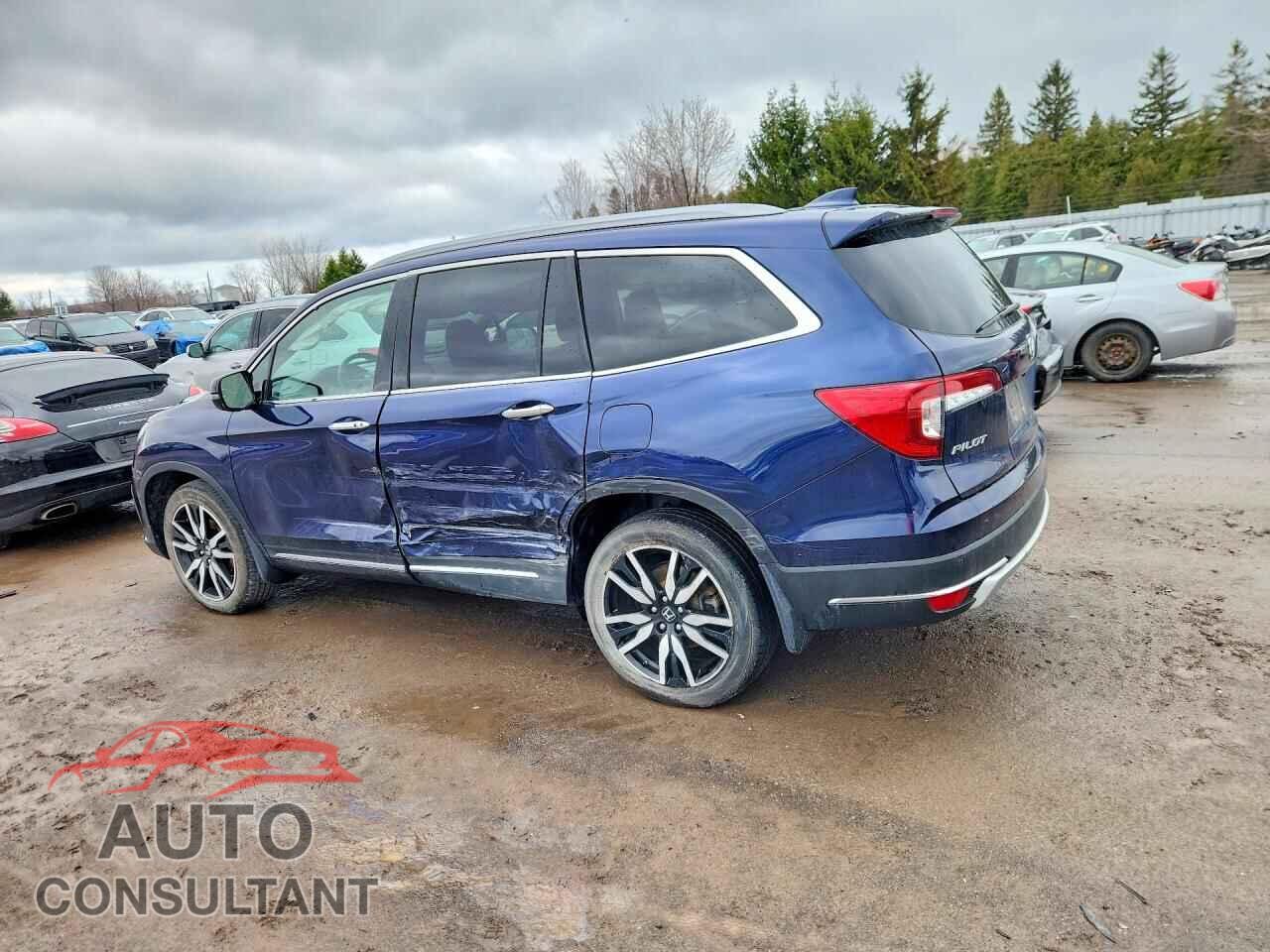 HONDA PILOT 2022 - 5FNYF6H66NB500993