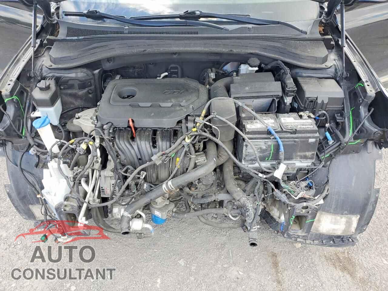 HYUNDAI SANTA FE 2019 - 5NMS33AD2KH131744