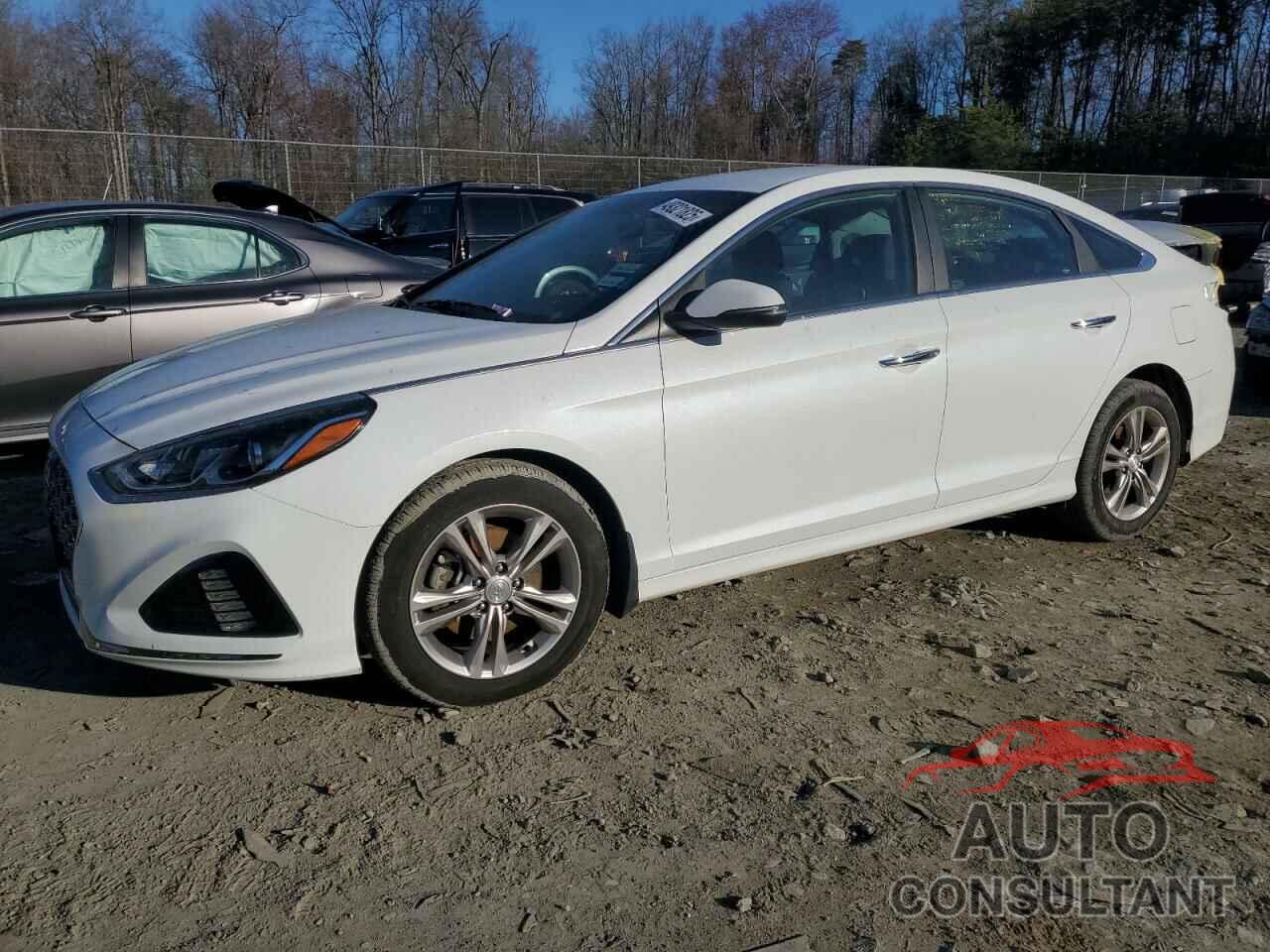 HYUNDAI SONATA 2019 - 5NPE34AFXKH740443