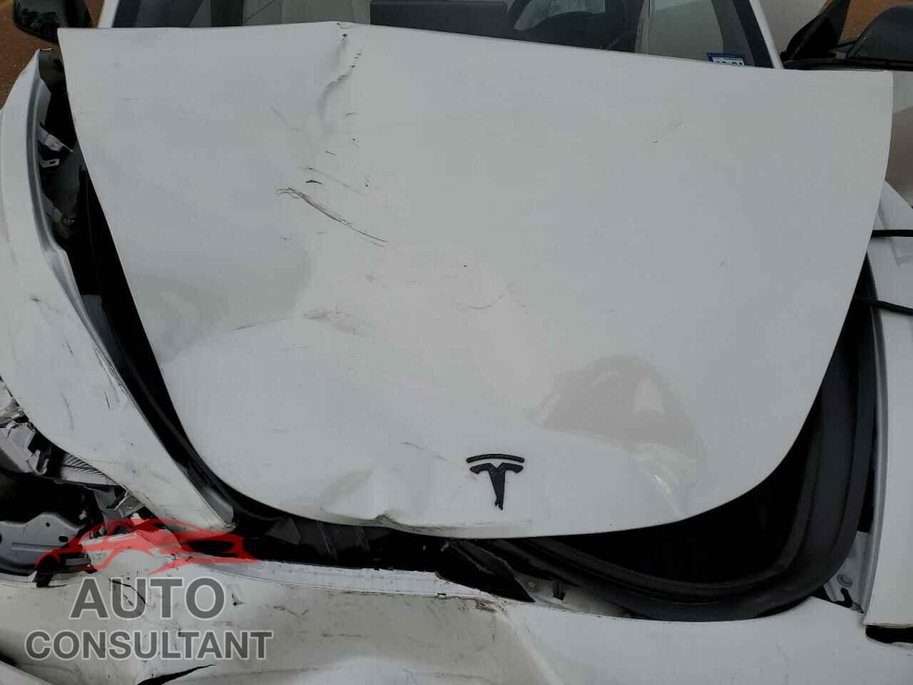 TESLA MODEL 3 2020 - 5YJ3E1EA2LF806921