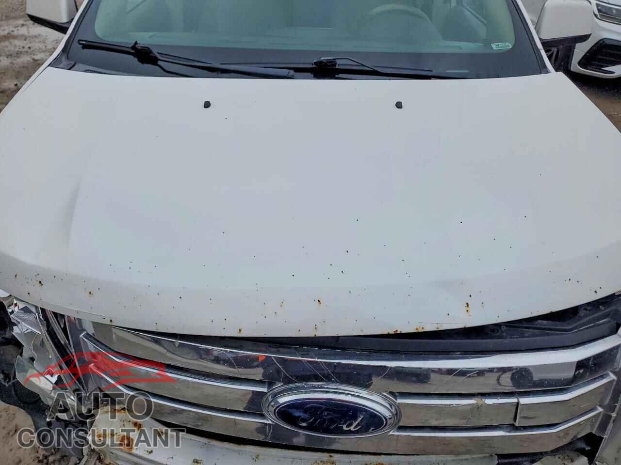 FORD EDGE 2009 - 2FMDK38C09BA53364
