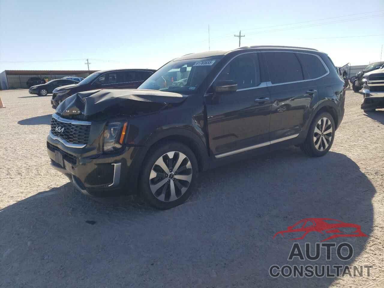 KIA TELLURIDE 2022 - 5XYP64HC7NG228310