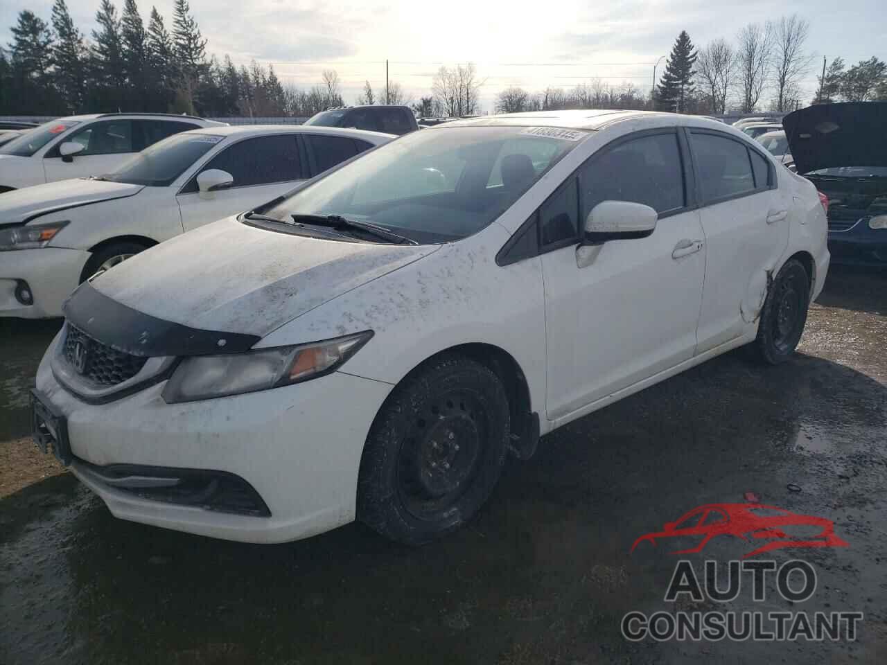 HONDA CIVIC 2014 - 2HGFB2E55EH000262