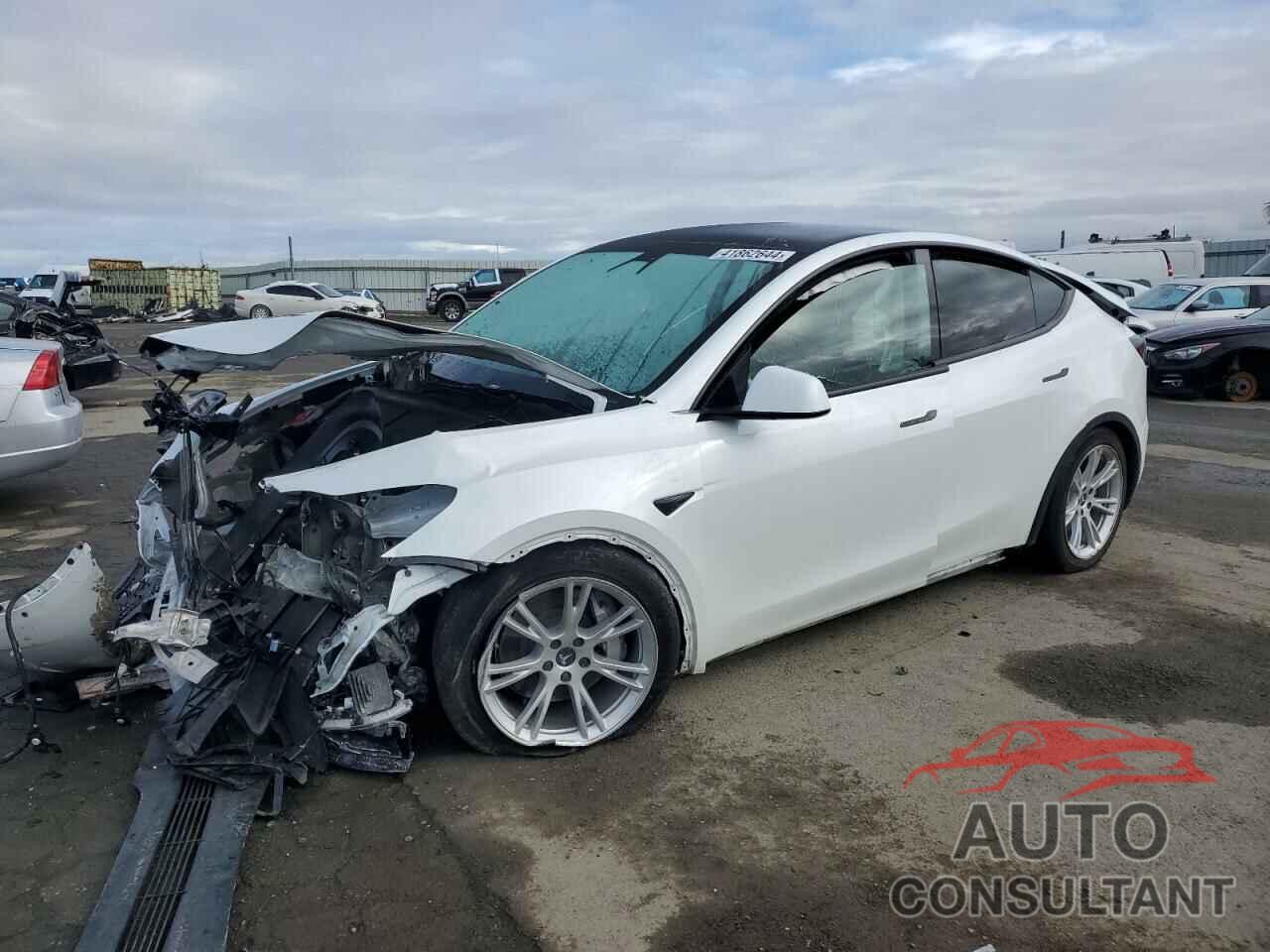 TESLA MODEL Y 2022 - 7SAYGDEE1NF434174