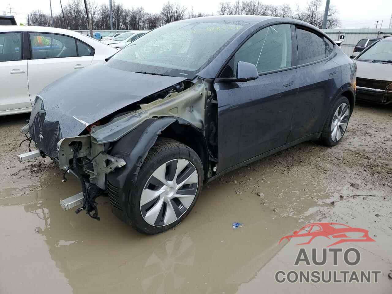 TESLA MODEL Y 2021 - 5YJYGDEE1MF074979