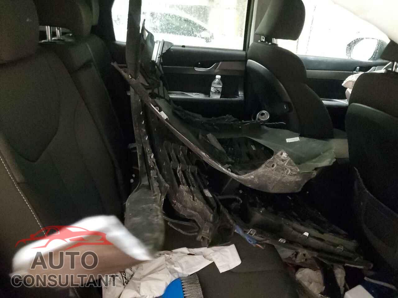 HYUNDAI PALISADE 2020 - KM8R3DHE5LU150331
