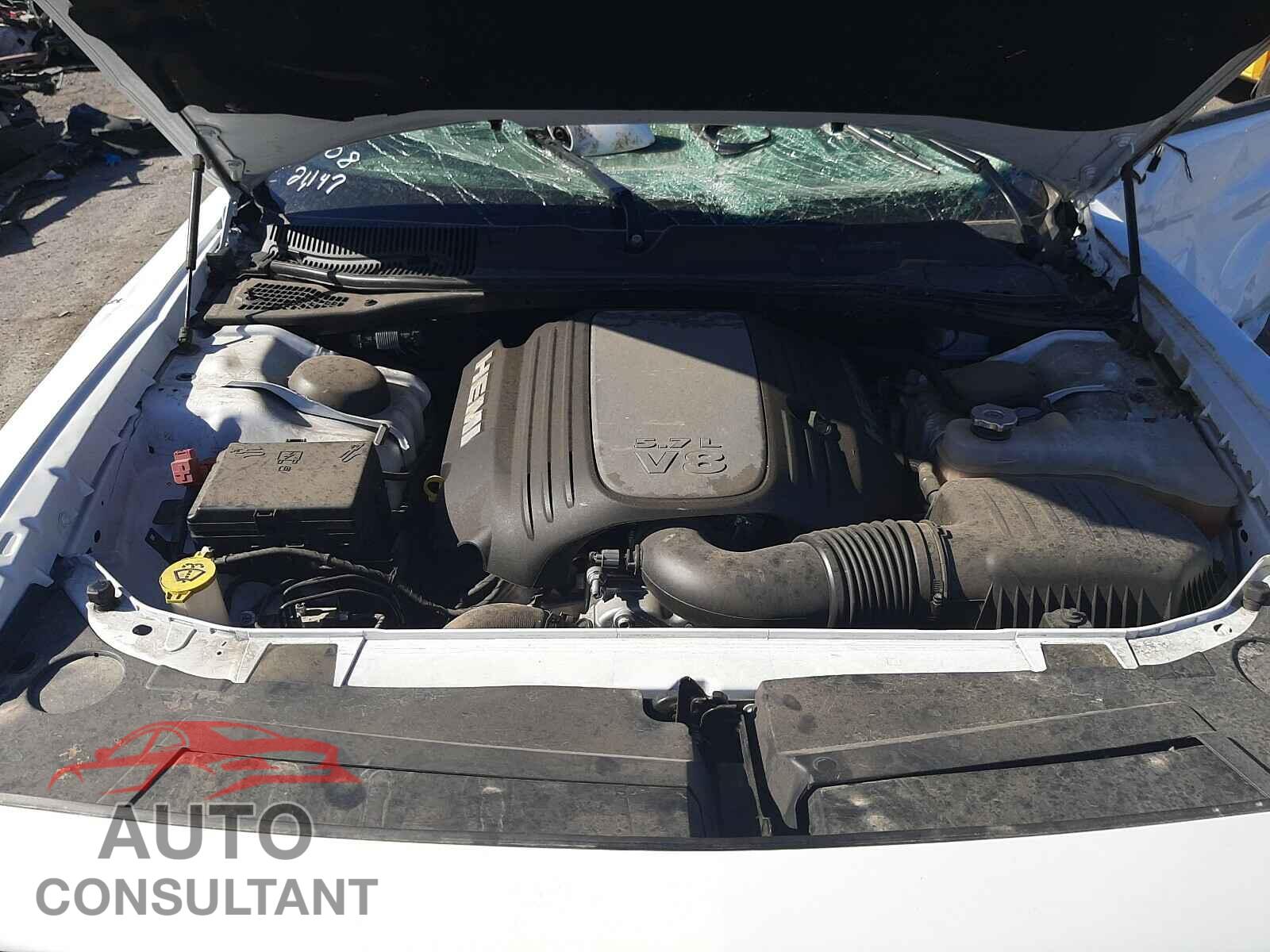 DODGE CHALLENGER 2019 - 2C3CDZBT9KH659596