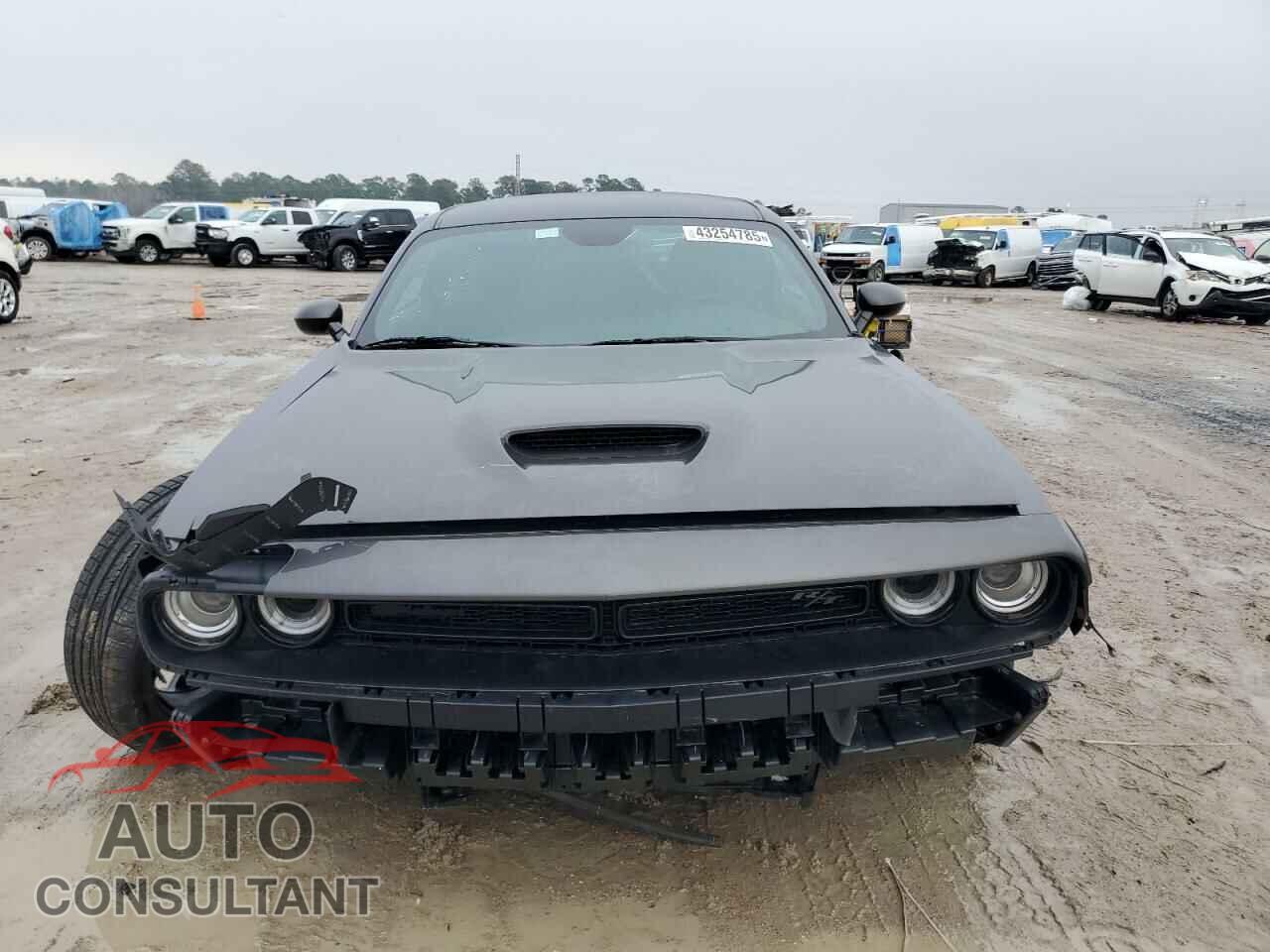 DODGE CHALLENGER 2023 - 2C3CDZBT4PH630188