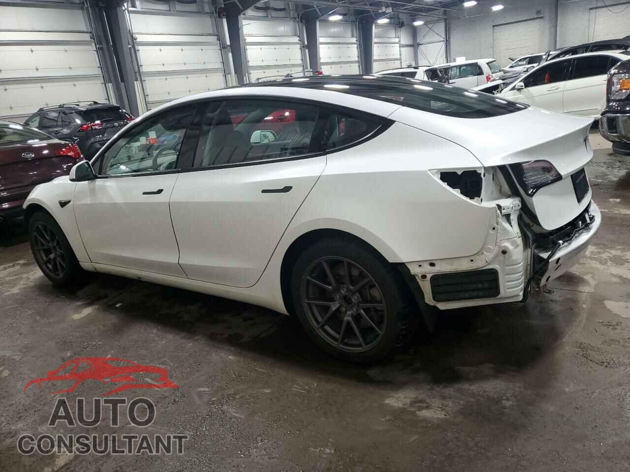 TESLA MODEL 3 2021 - 5YJ3E1EA9MF982544