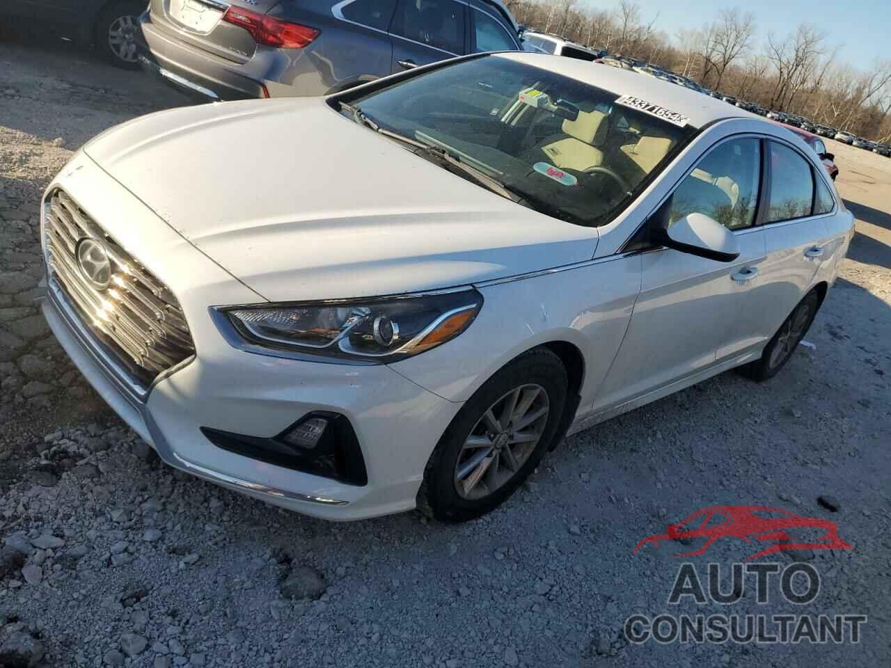 HYUNDAI SONATA 2019 - 5NPE24AF6KH809535