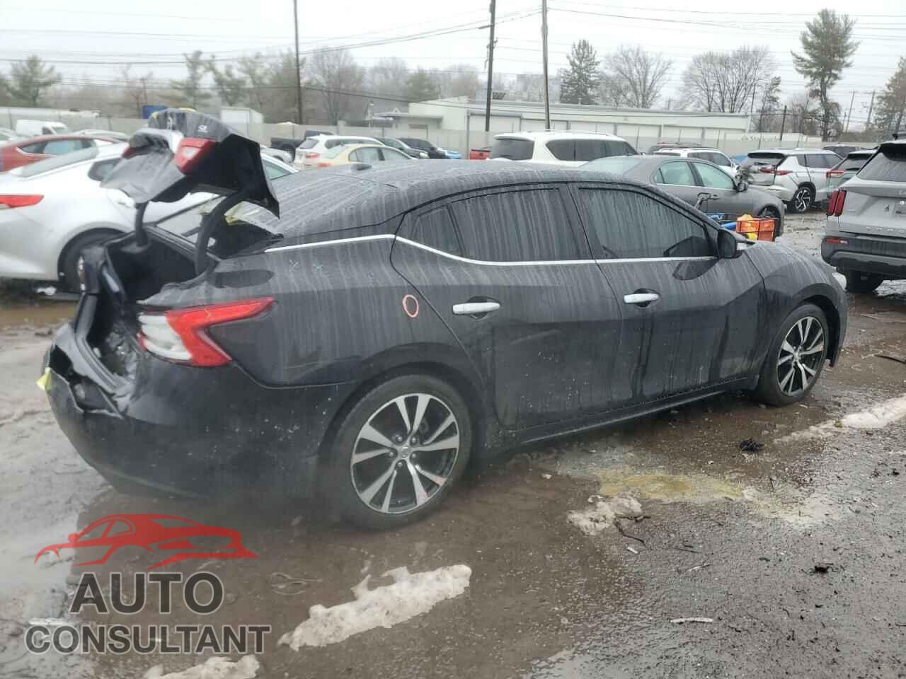 NISSAN MAXIMA 2017 - 1N4AA6AP3HC457241