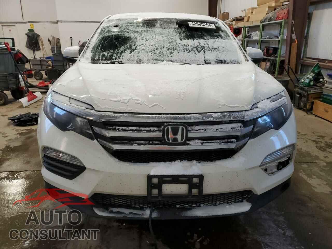 HONDA PILOT 2017 - 5FNYF6H29HB505428