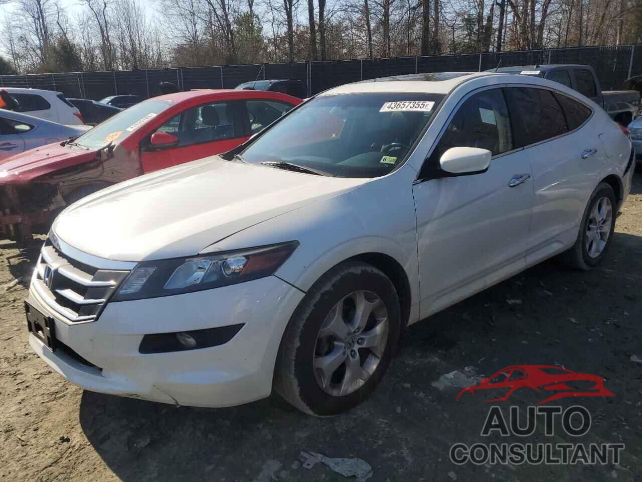 HONDA ACCORD 2011 - 5J6TF2H57BL006560