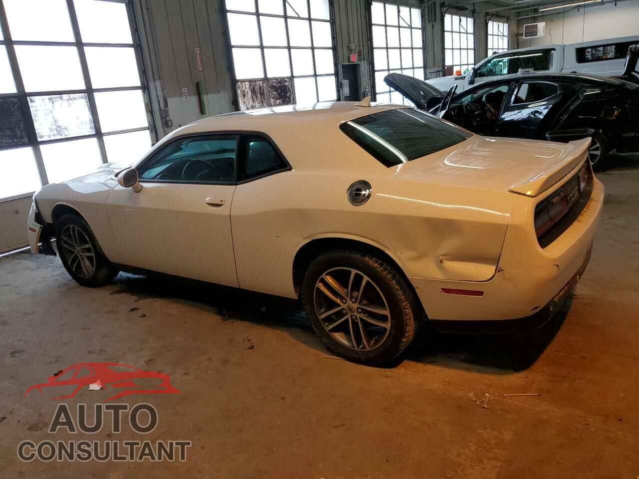 DODGE CHALLENGER 2019 - 2C3CDZKG3KH613846